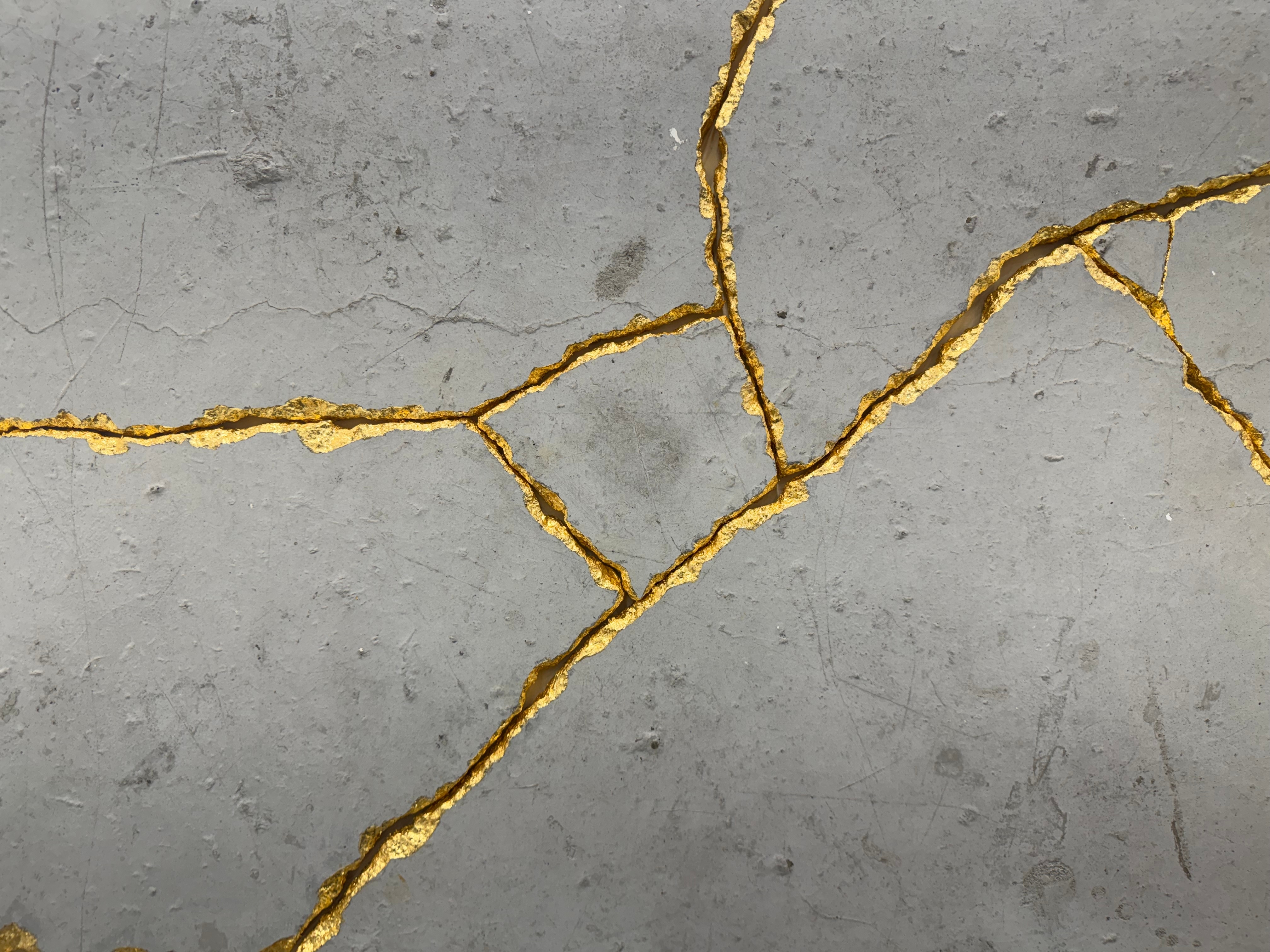 Criminal Justice Banner